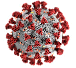 Illustrazione del Coronavirus Sars-Cov-2 creata presso i Centers for Disease Control and Prevention (CDC)